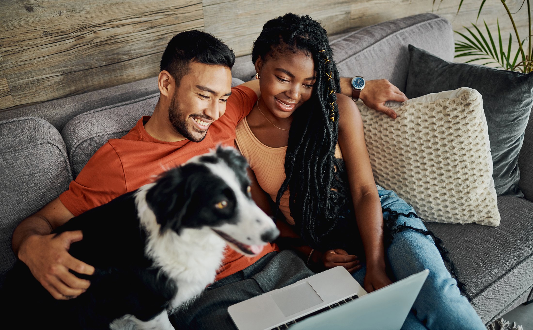 Dog with owners looking at laptop
