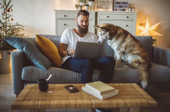 Someone sitting on a couch looking at a laptop with a dog beside them.