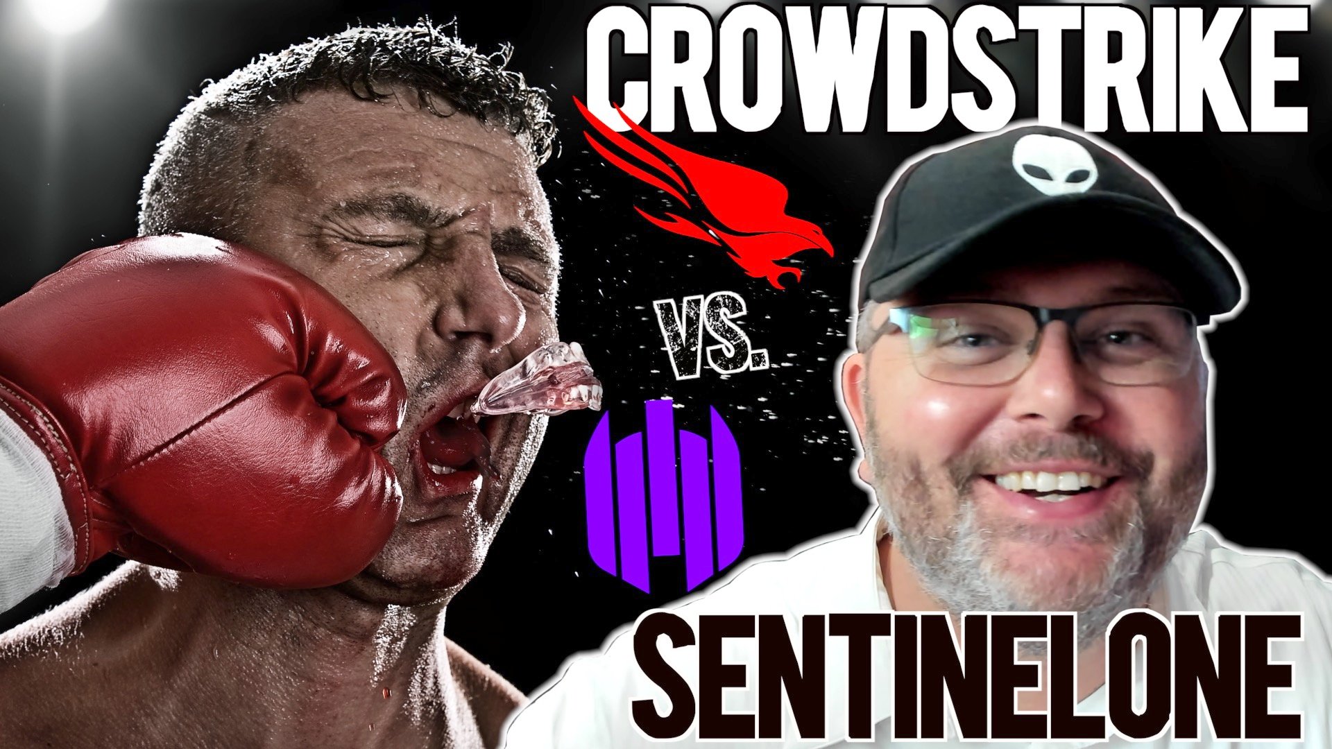 Crowstrike stock vs SentinelOne Stock thumby 3
