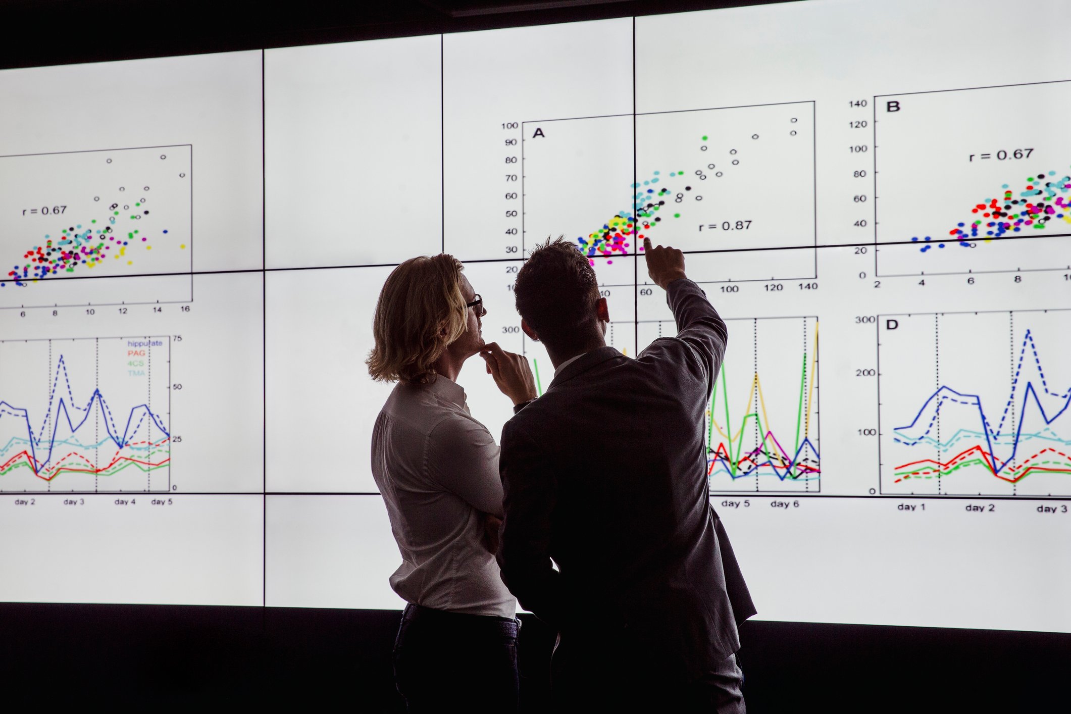 People looking at charts on a big screen.