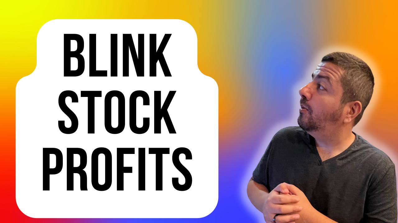blink stock profits