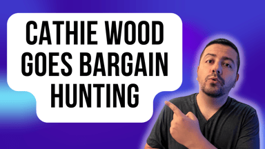 cathie wood goes bargain hunting