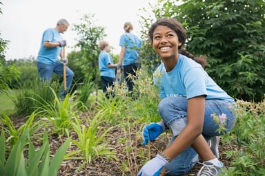 Workers plants crops.