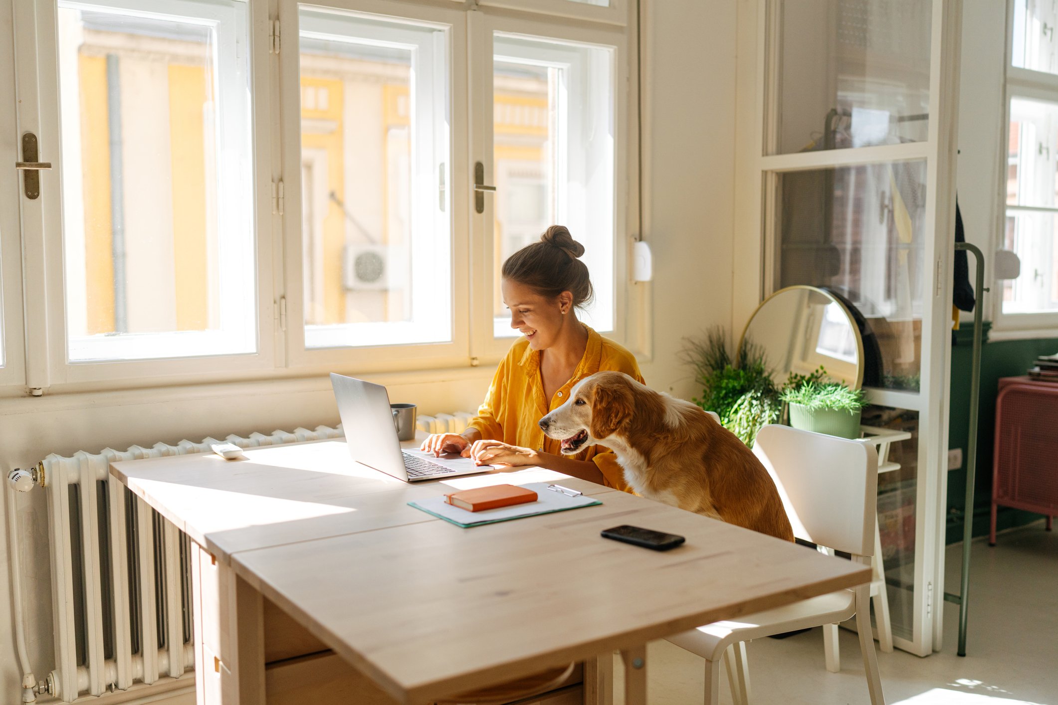 Someone sitting at a table typing on a laptop with a dog beside them.