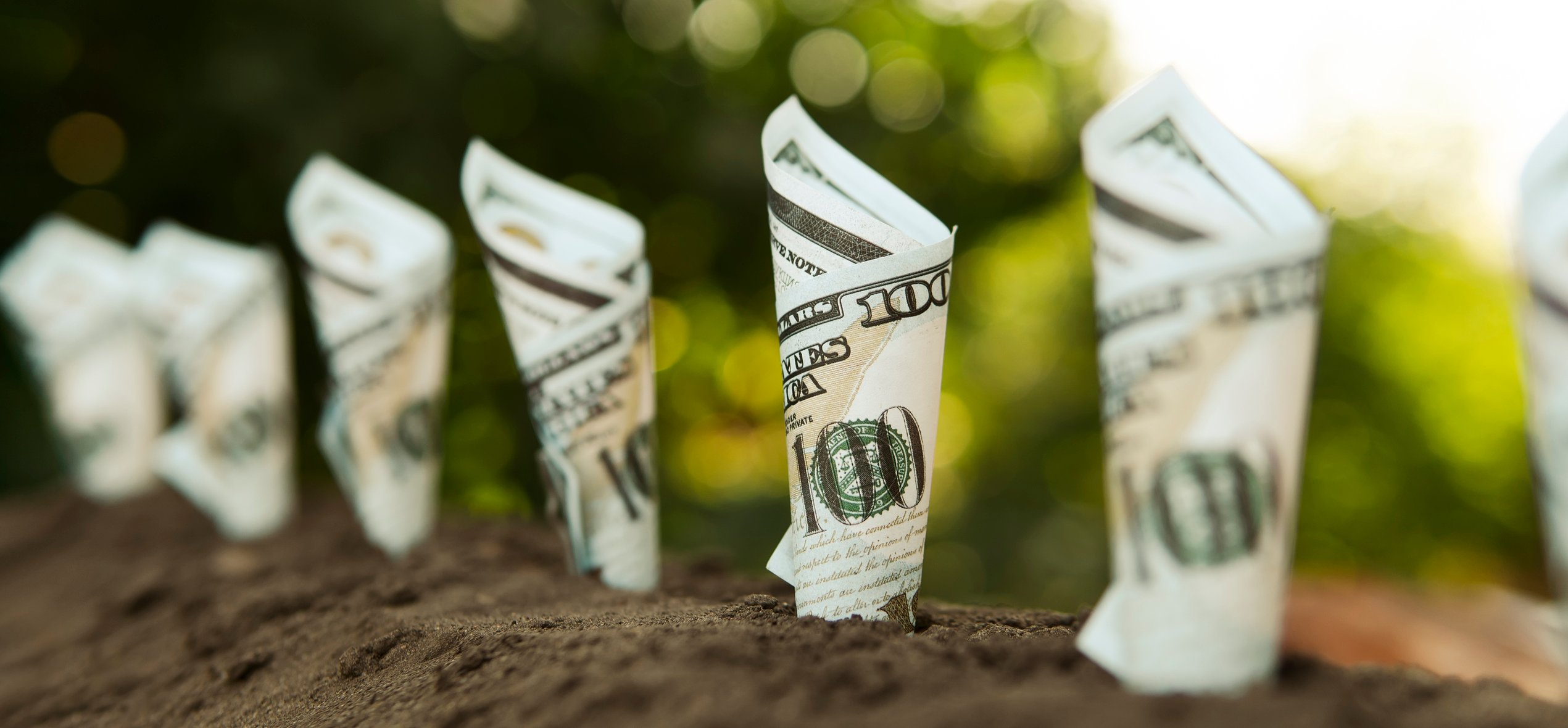 dividend stocks growing money income cash