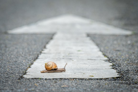 Snail crawling across an arrow painted on a road, indicating slow movement.