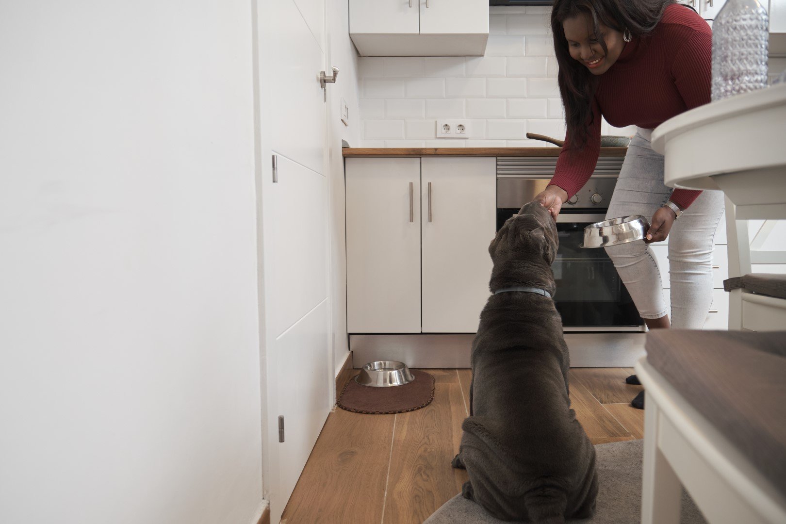 woman feeding dog food chewy