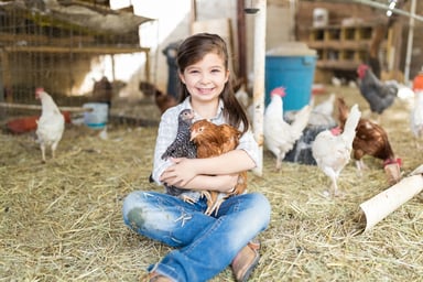 child holds chickens at hobby farm