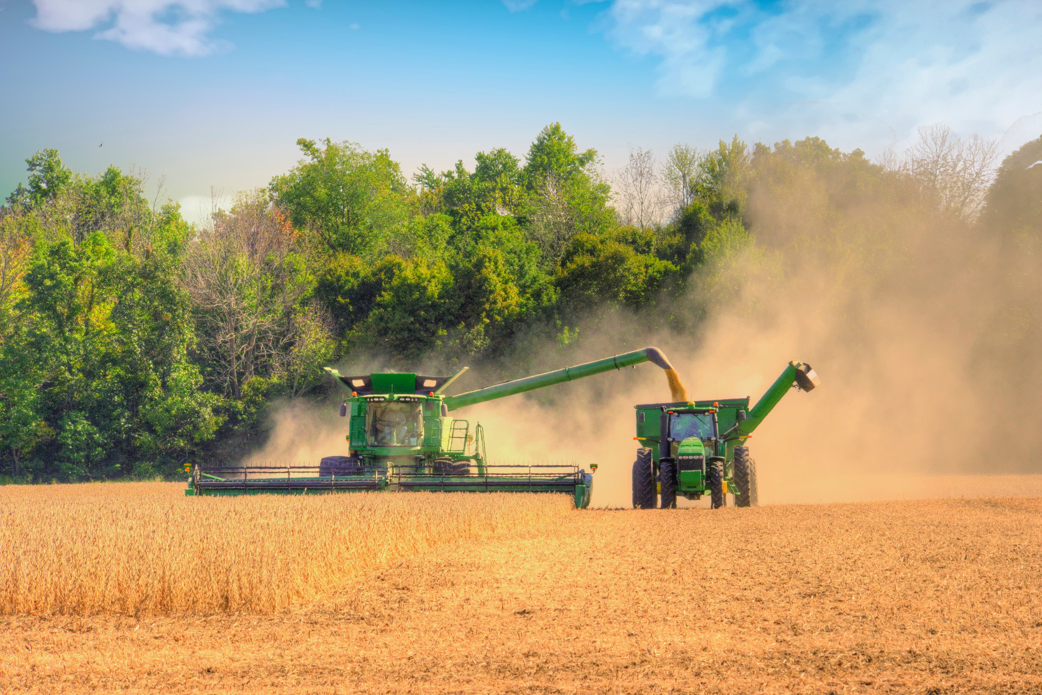 Farm equipment harvests grain in a field.