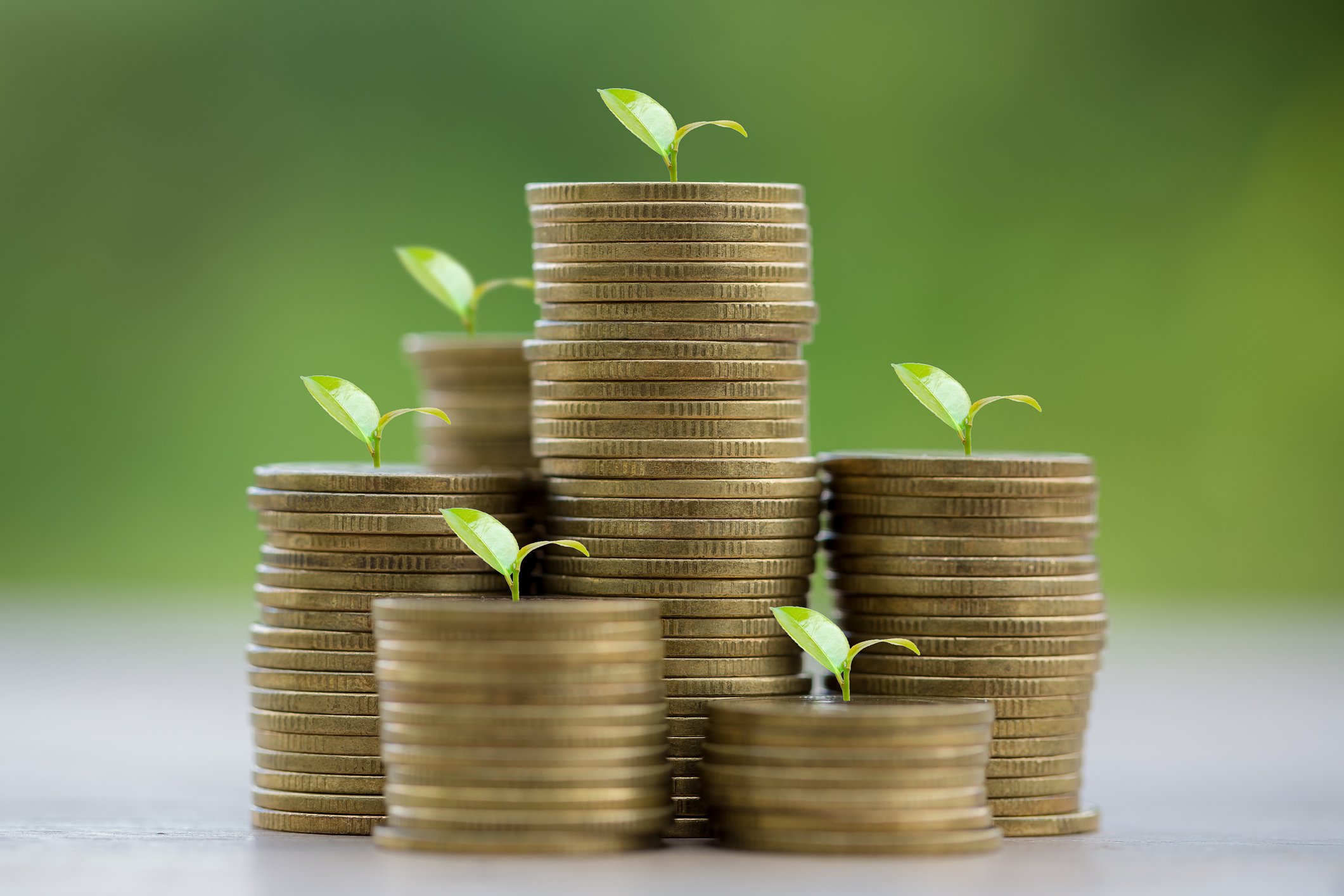stacks of coins plants money growing dividends