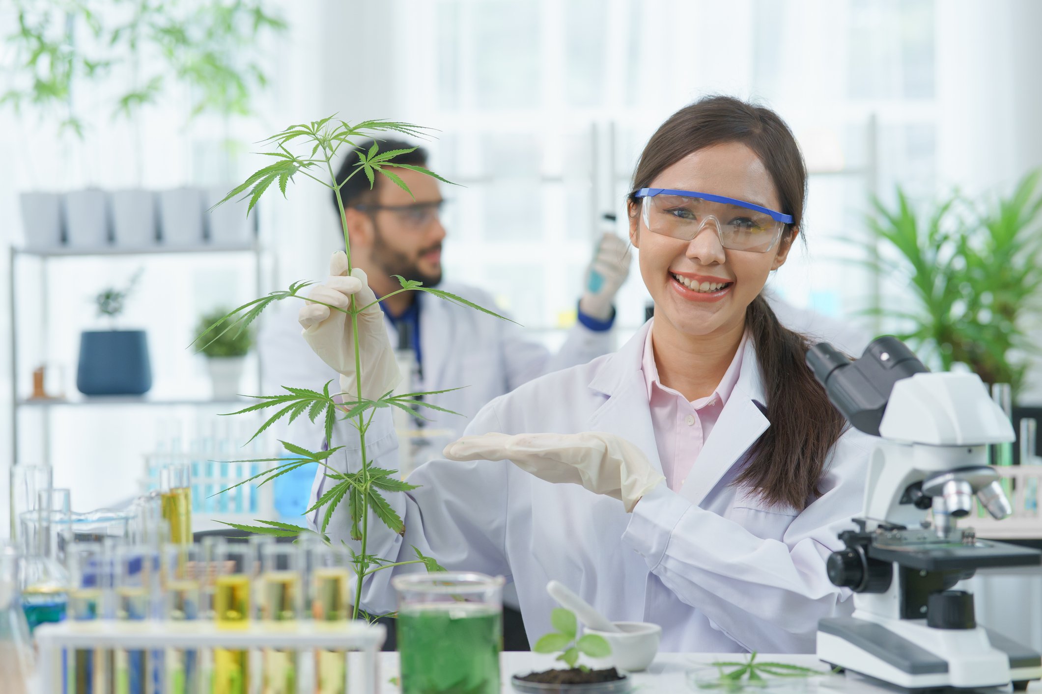 cannabis scientist research marijuana researcher