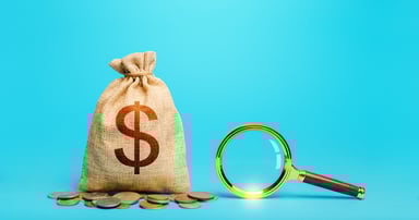 bag of money magnifying glass dividends budget