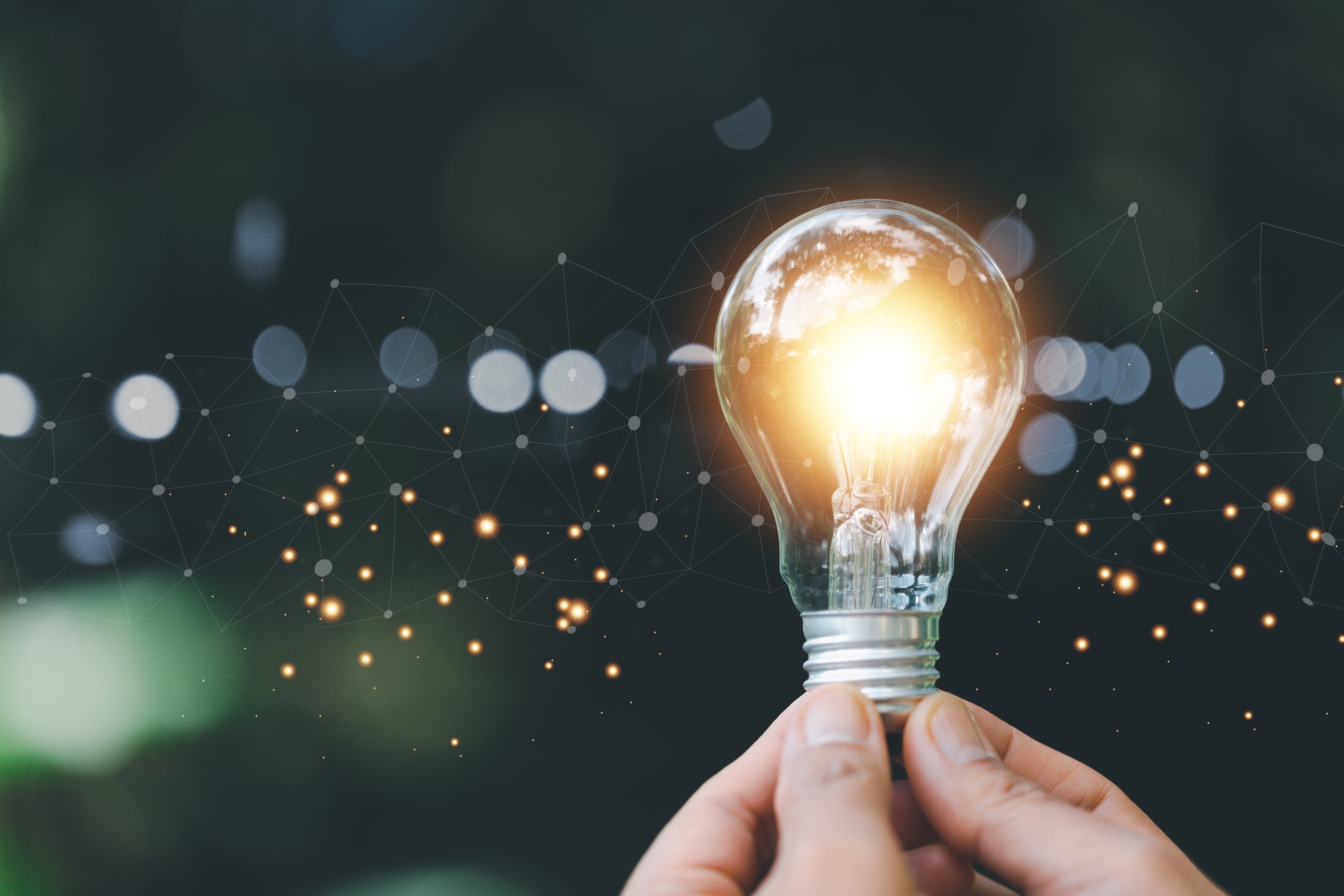 Hand holding light bulb.