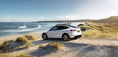 tesla stock earnings q4 model y 