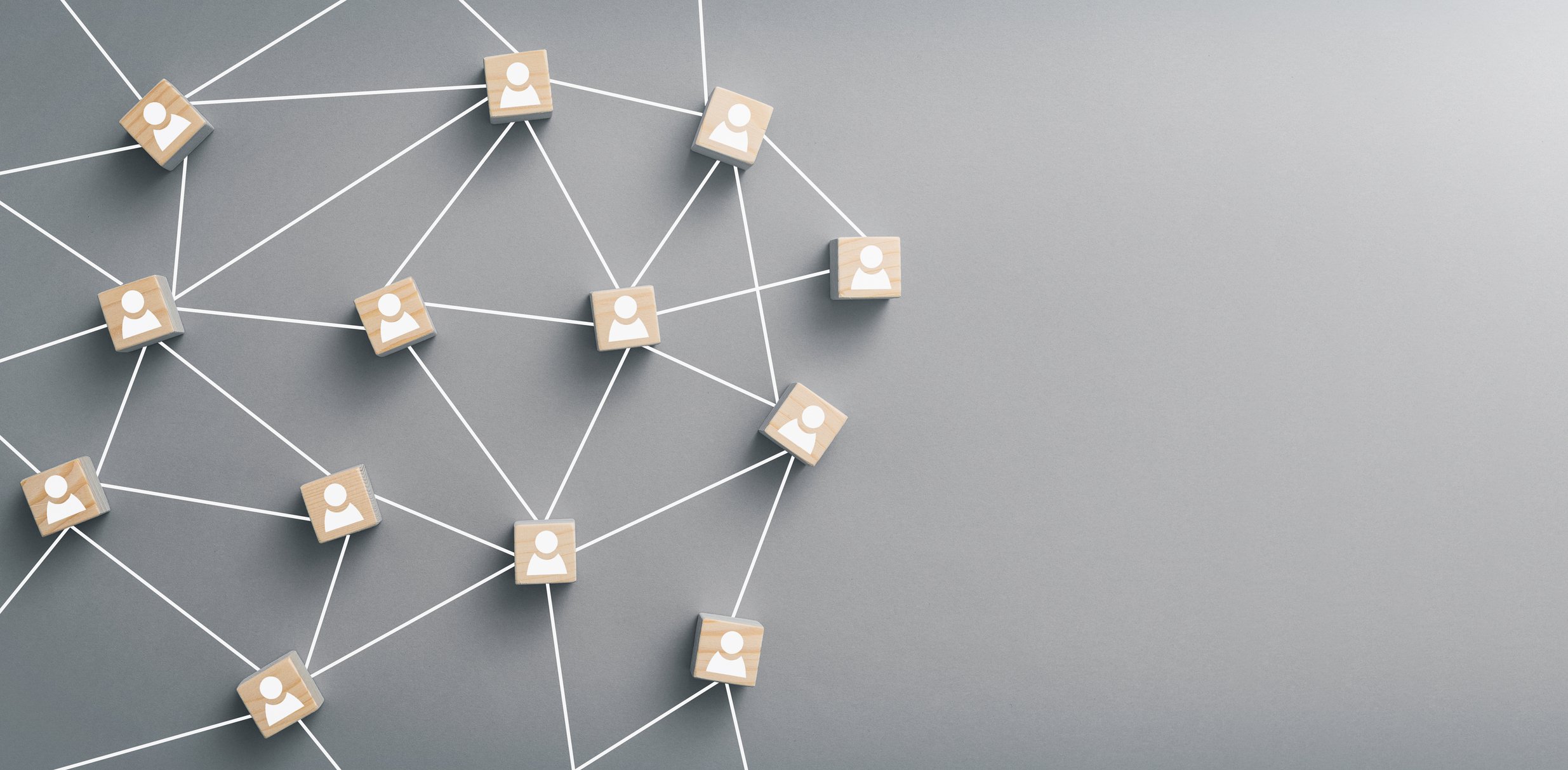 Blocks Connected in Network
