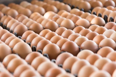 Eggs from chicken farm in the package 