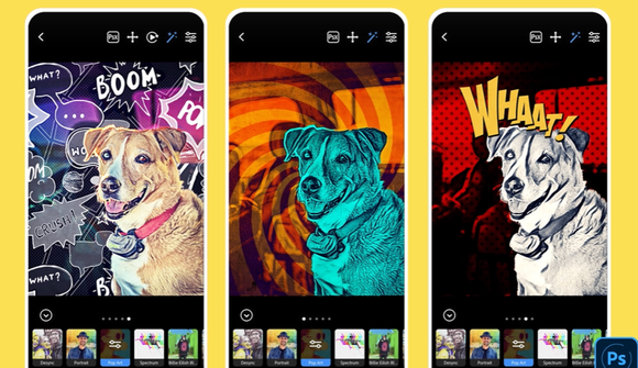 Image of a dog on three cell phones, each with different coloring and background.