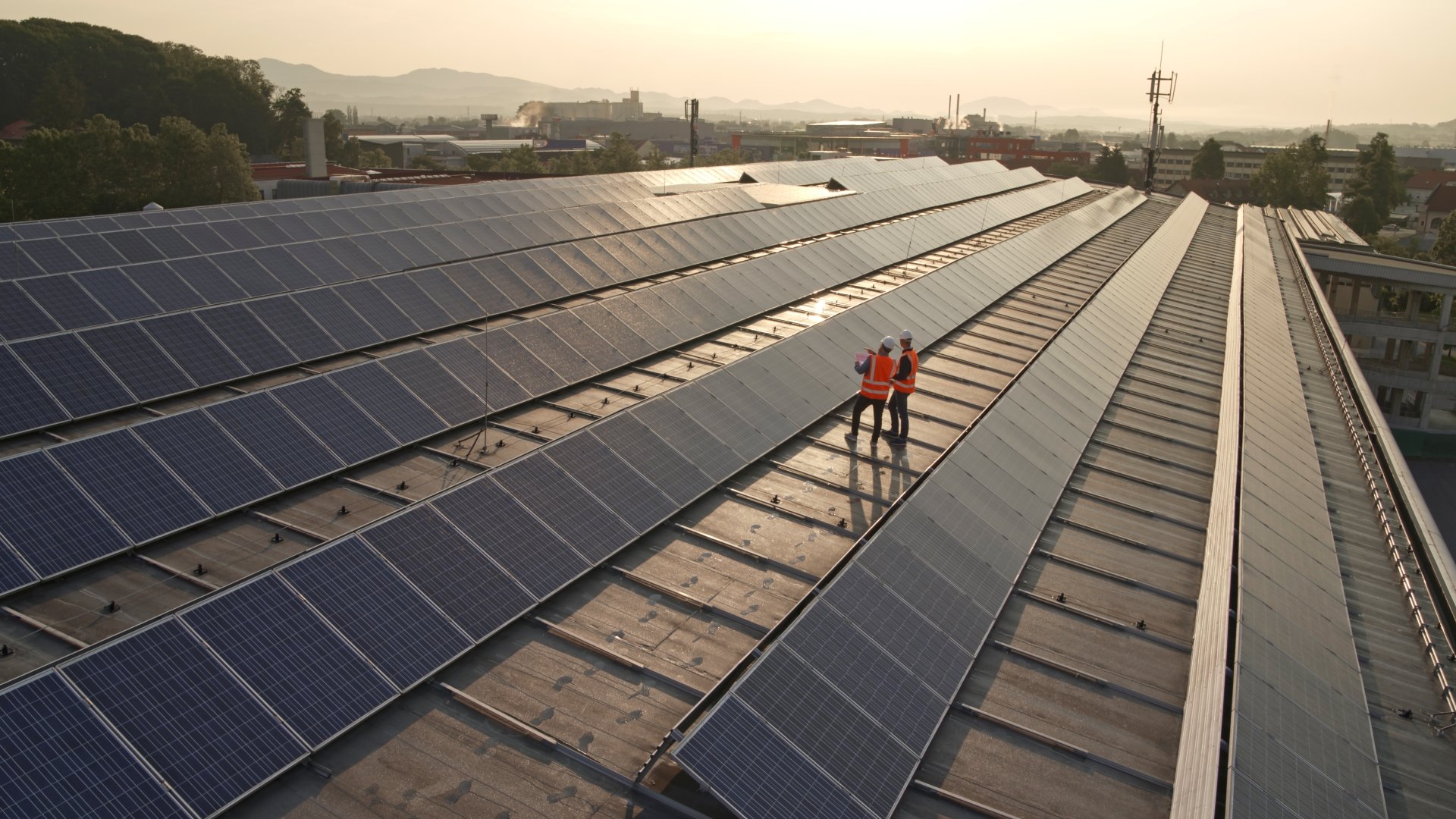 solar farm