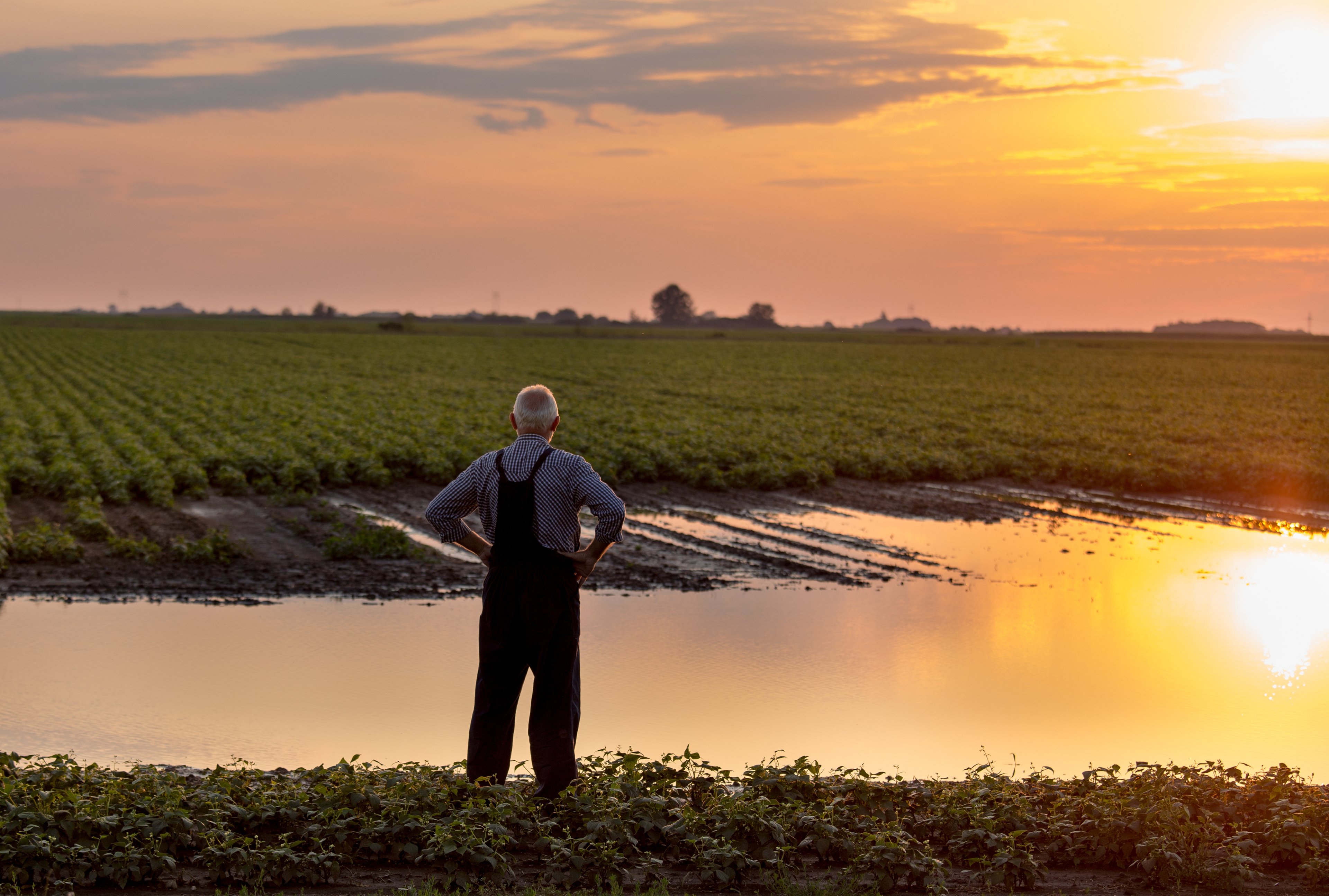 farmland