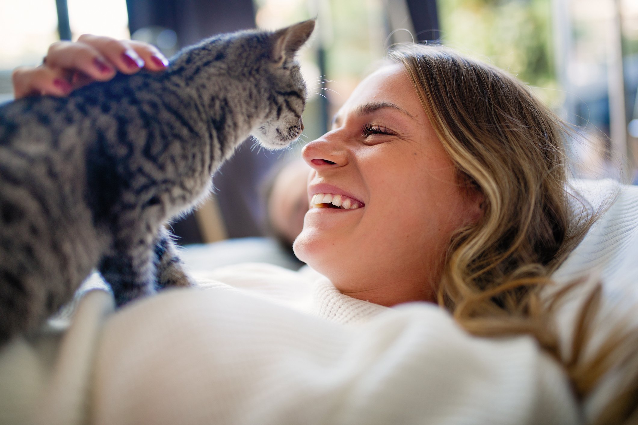 Smiling person petting a kitten.