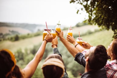 friends toasting while drinking beverages outside