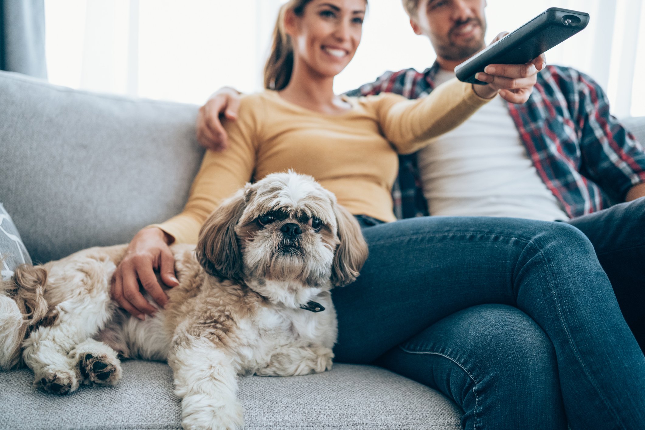 A couple and their dog are channel surfing on a couch.