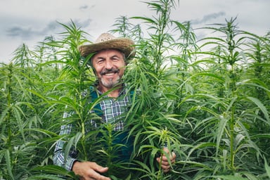 Farmer smiling in a hemp field.