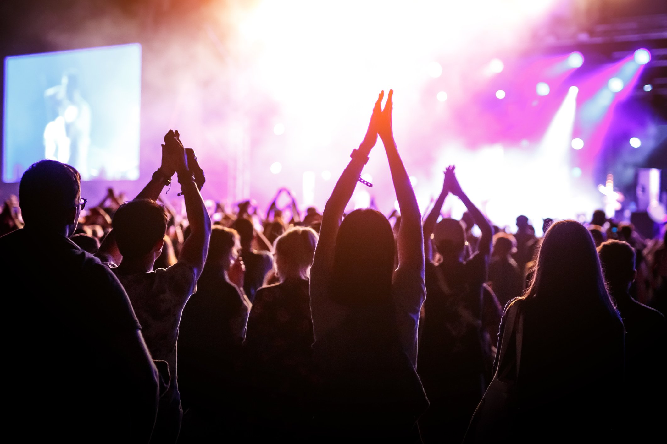 People Cheering at a Concert
