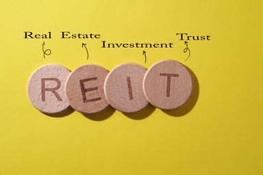 REIT coins explaination (2)
