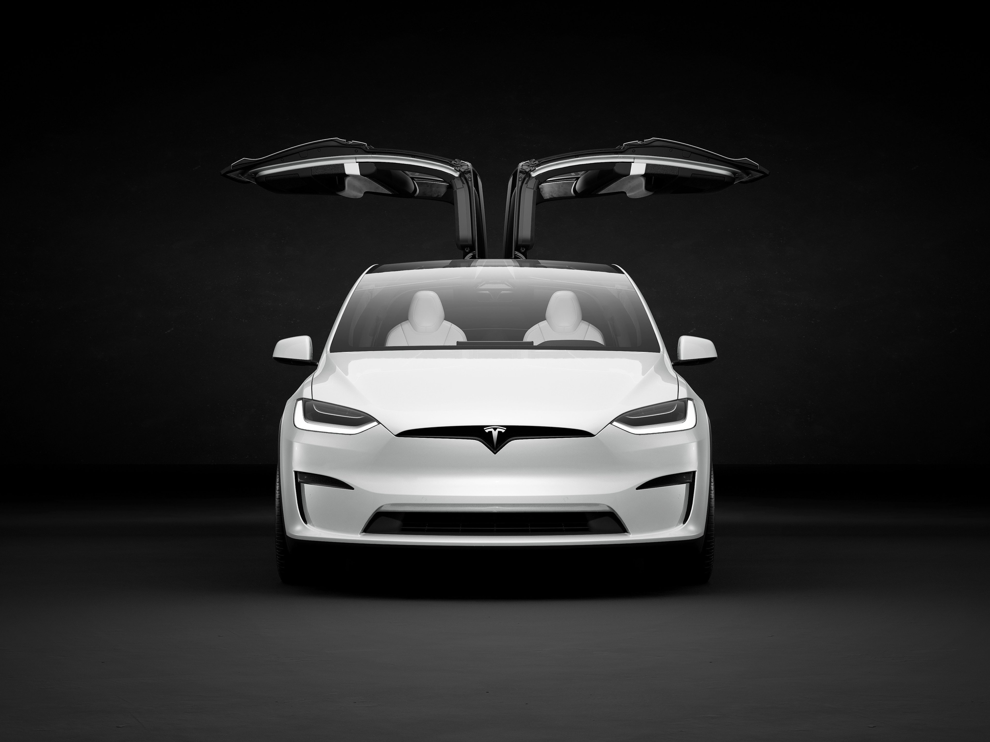 0x0-ModelX_21