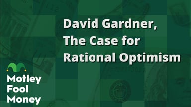 David Gardner, The Case for Rational Optimism