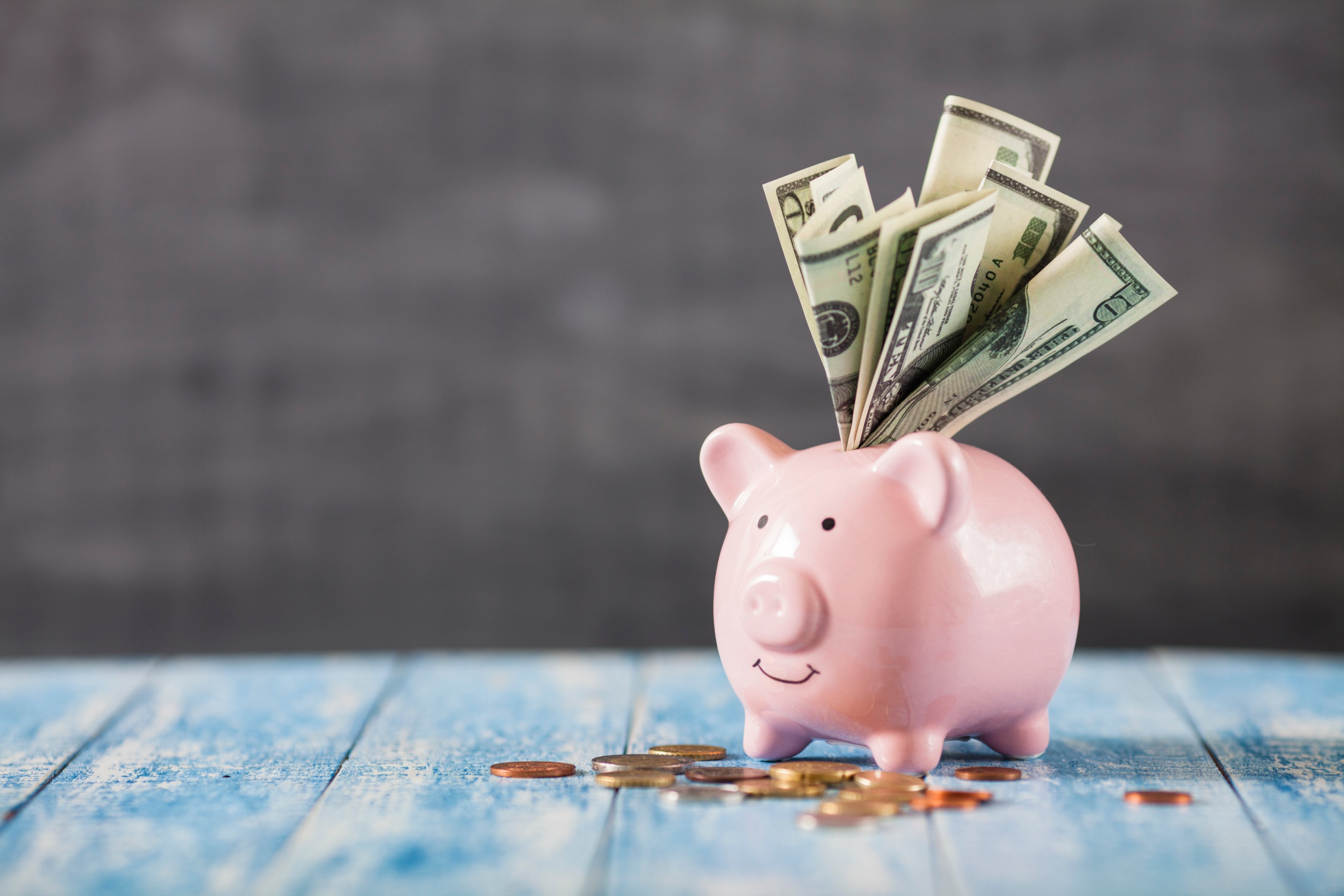 Hundred dollar bills stuffed into a piggy bank.