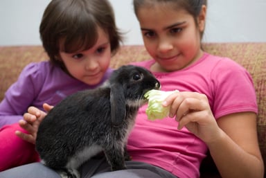 GettyImages-468818590(1)