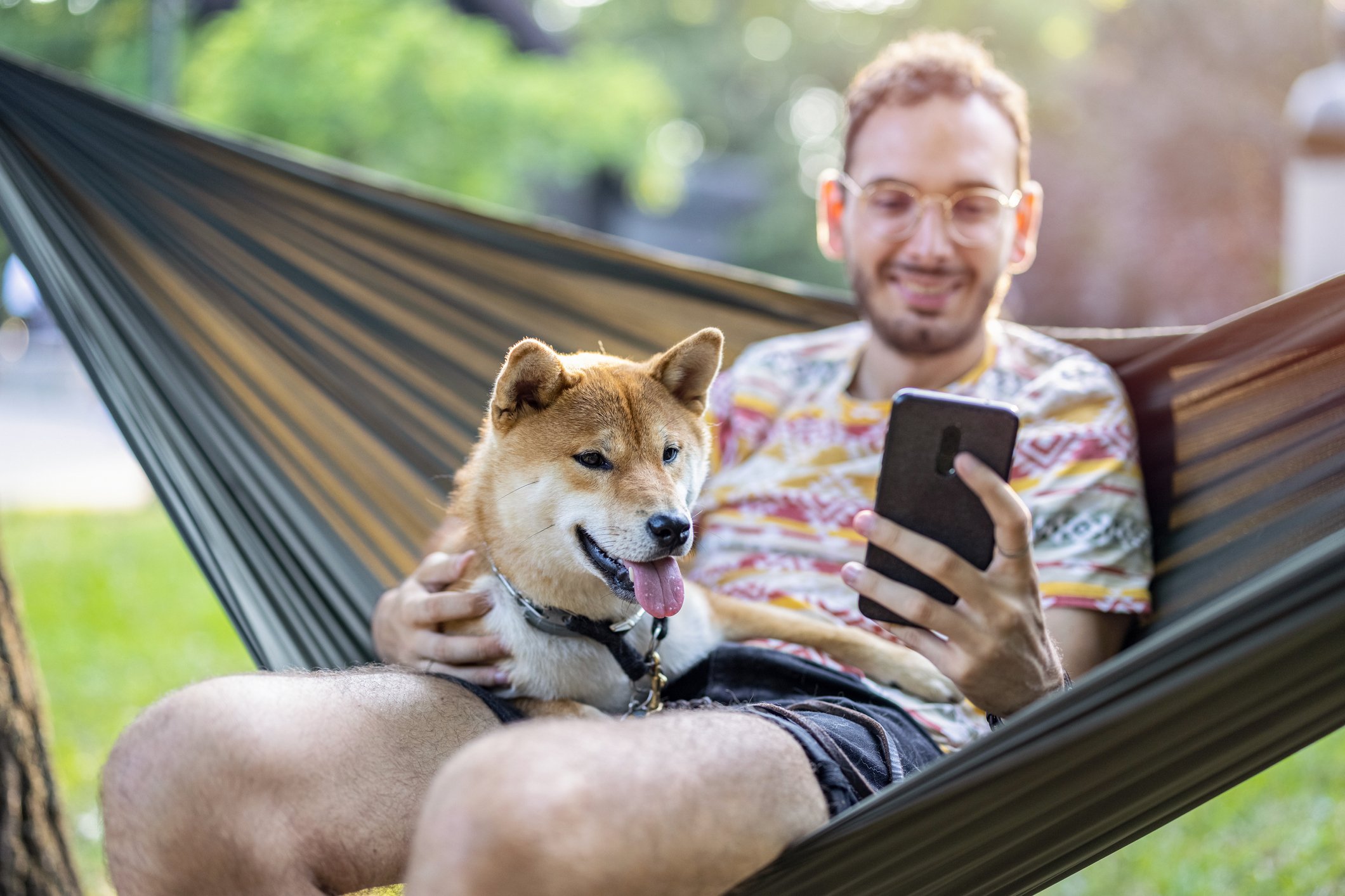 shiba inu29