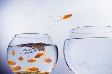 a goldfish leaping out of a fish bowl