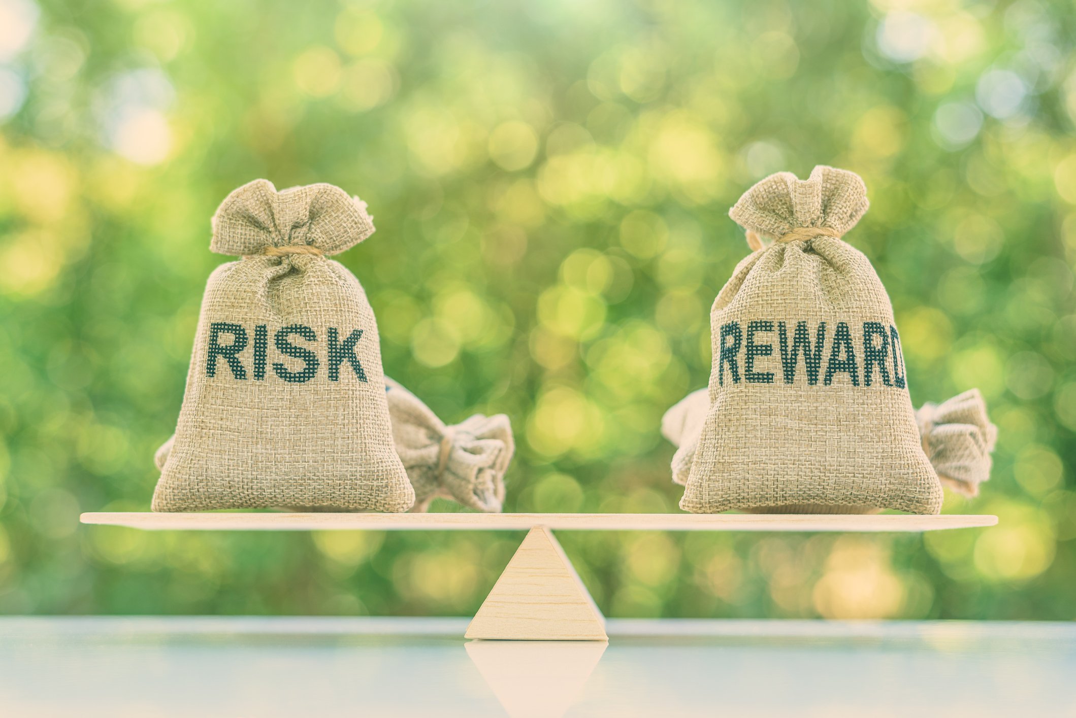 Balancing Risk and Reward