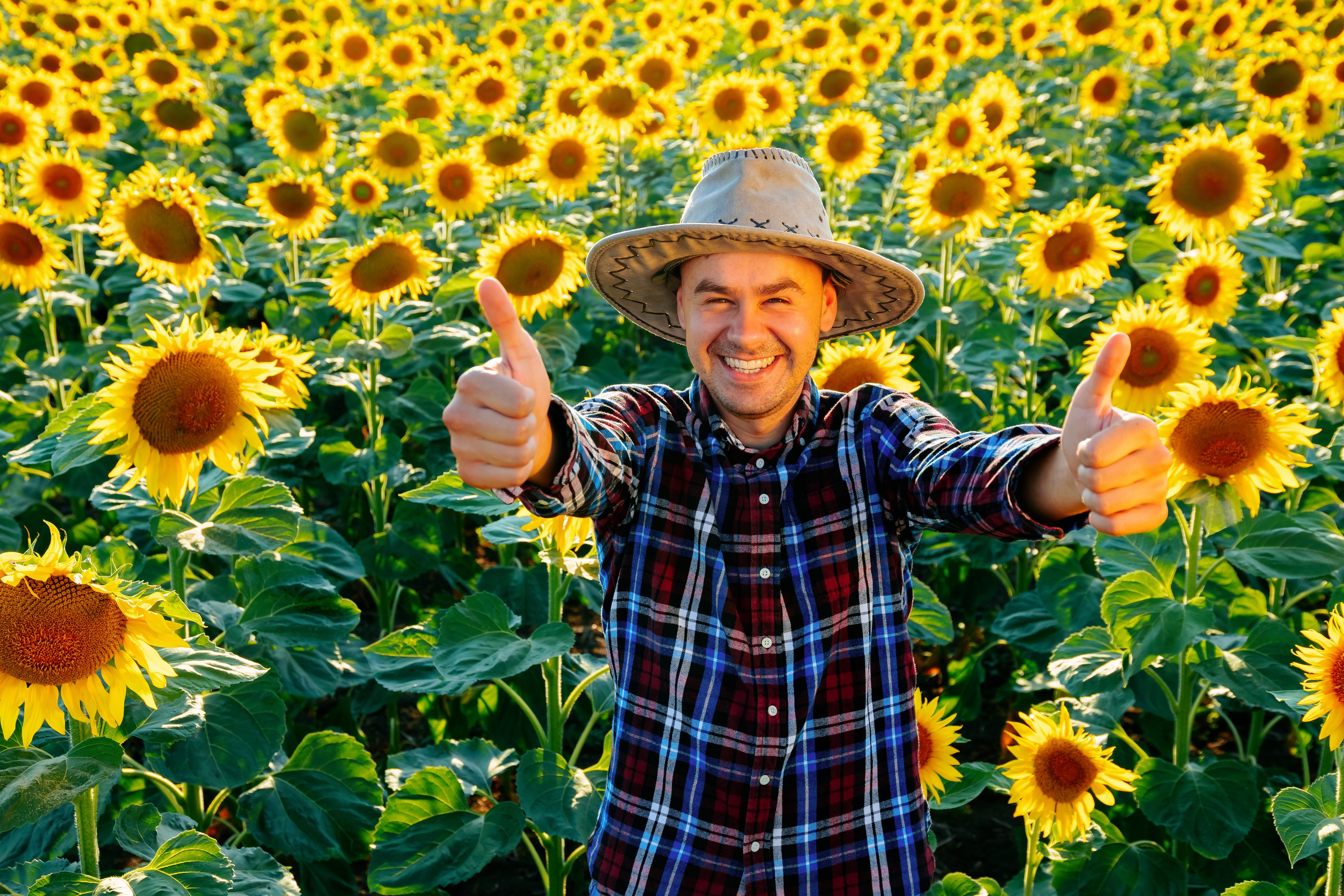 Someone in a hat standing among sunflowers, with both thumbs up, smiling.