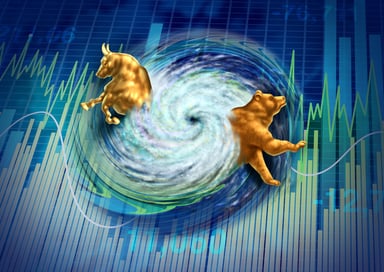 Bull Bear financial storm