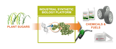 Disruptive Platform for Renewable Products