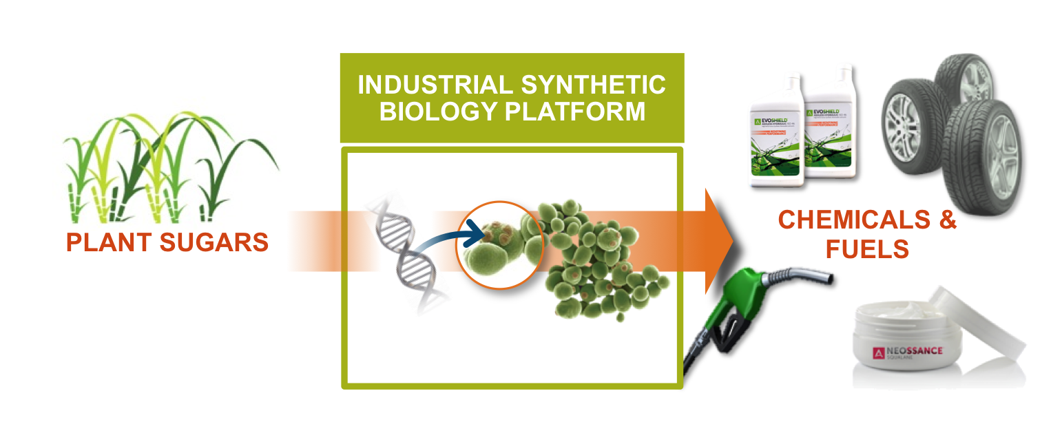 Disruptive Platform for Renewable Products