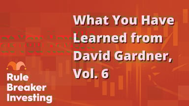 What You Have Learned from David Gardner, Vol. 6