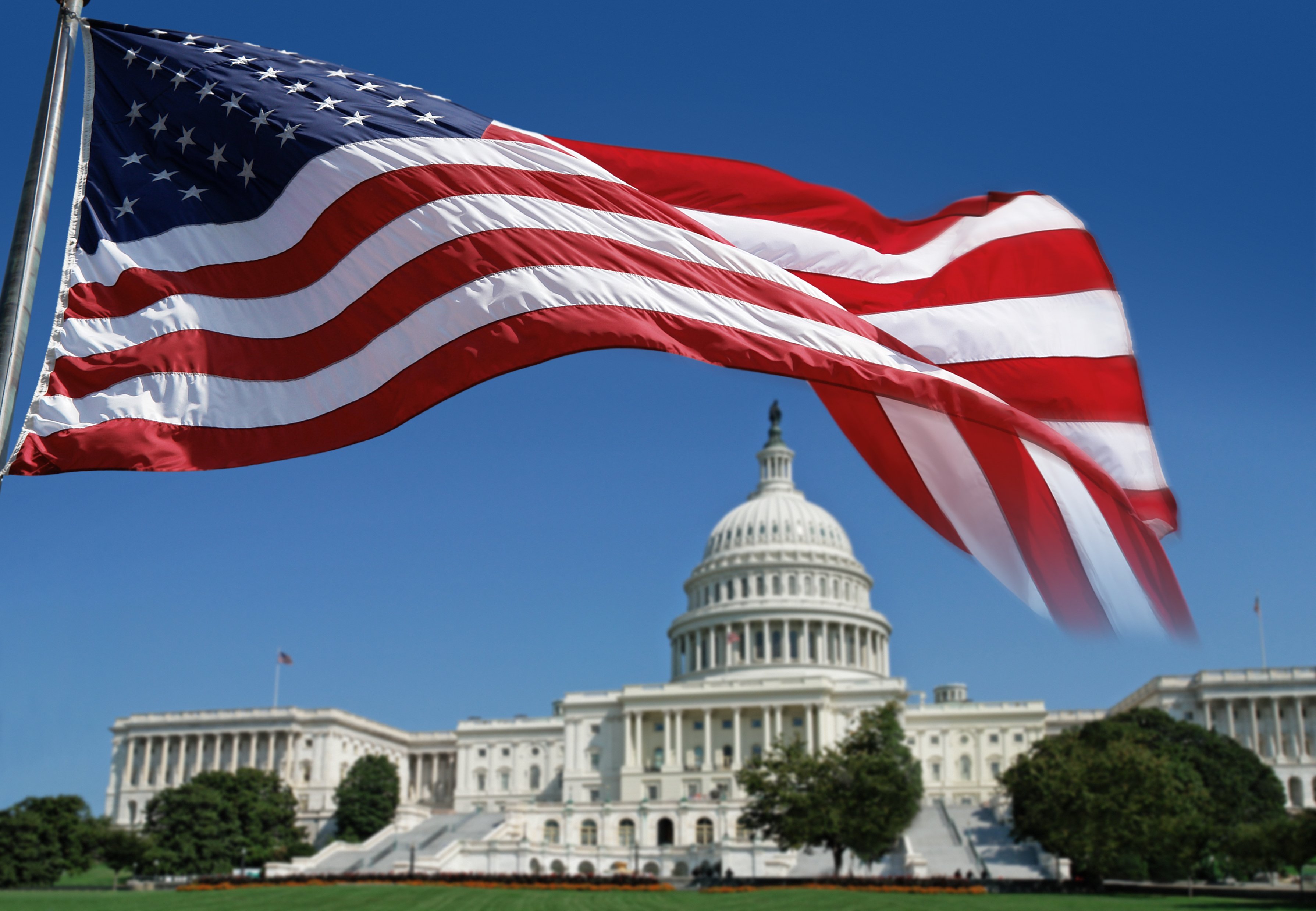Government White House flag
