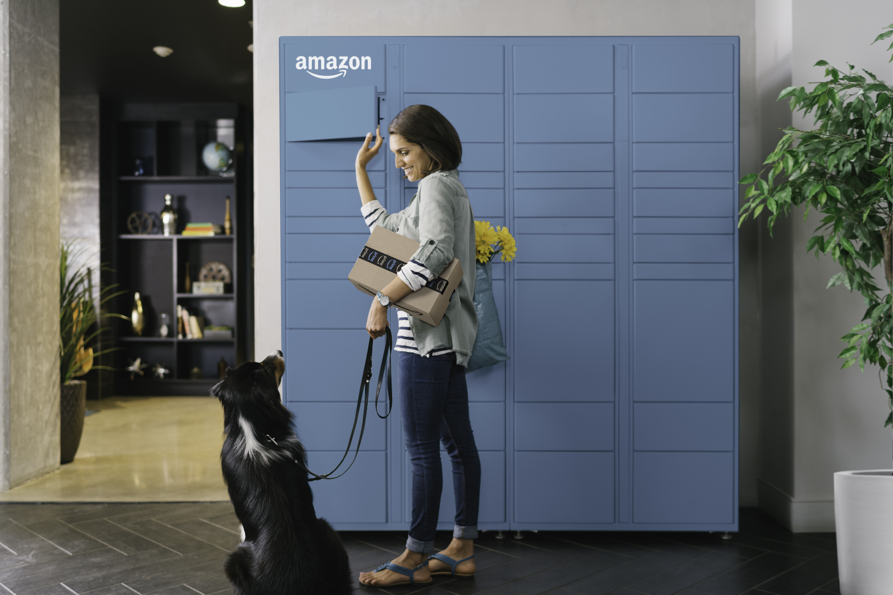 A person at an Amazon locker with a dog.