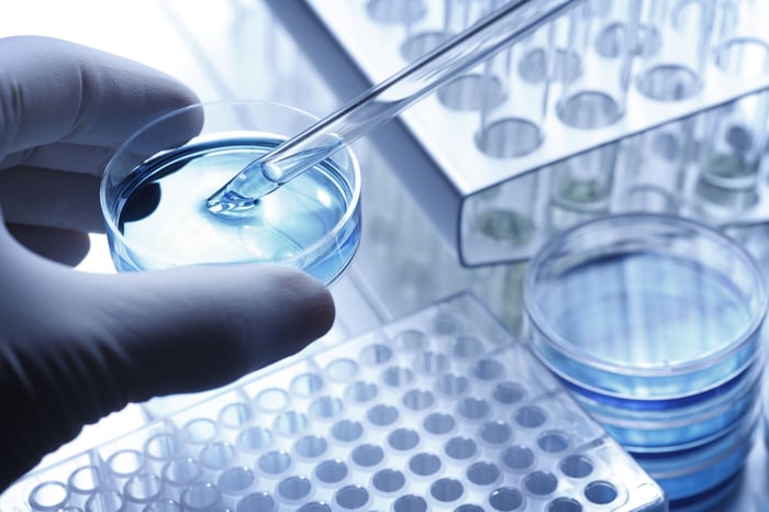 Biological labwork with a pipette and petri dish.