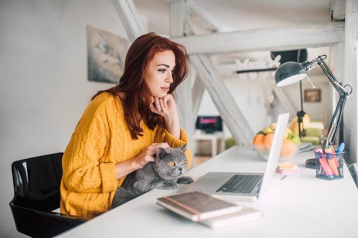 A woman looks at her laptop on her desk while petting her cat, which is also looking at the laptop.