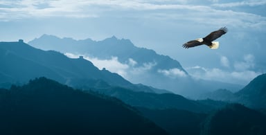Eagle flying among mountaintops.