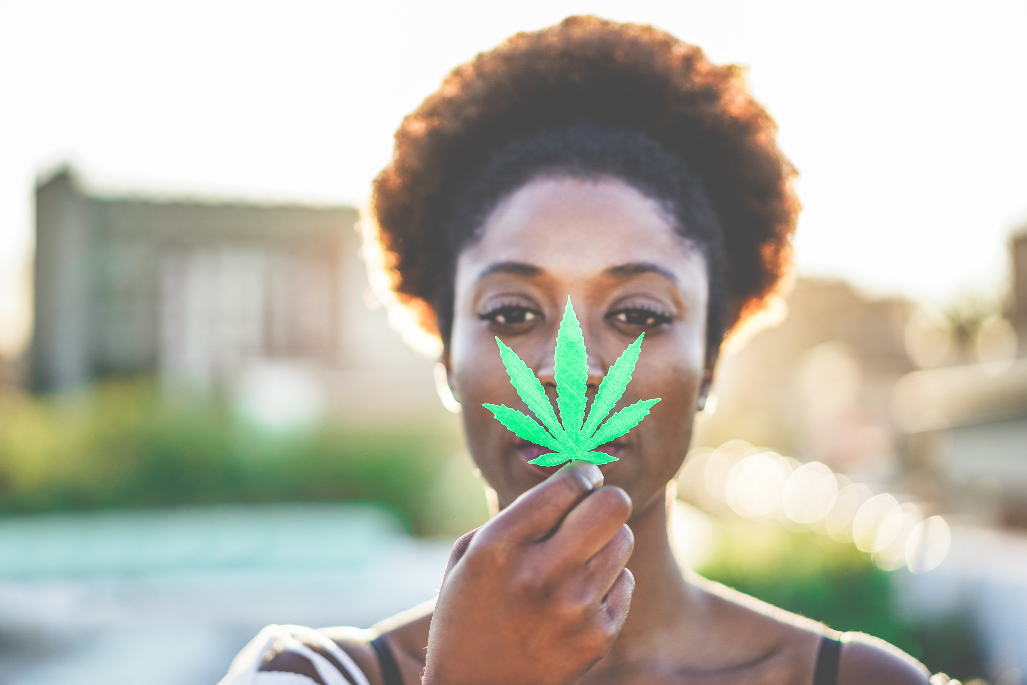 Cannabis leaf in front of person's face