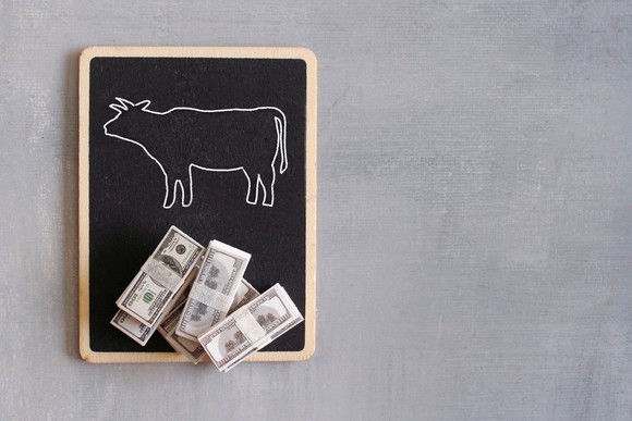 Bull on a chalkboard with cash.