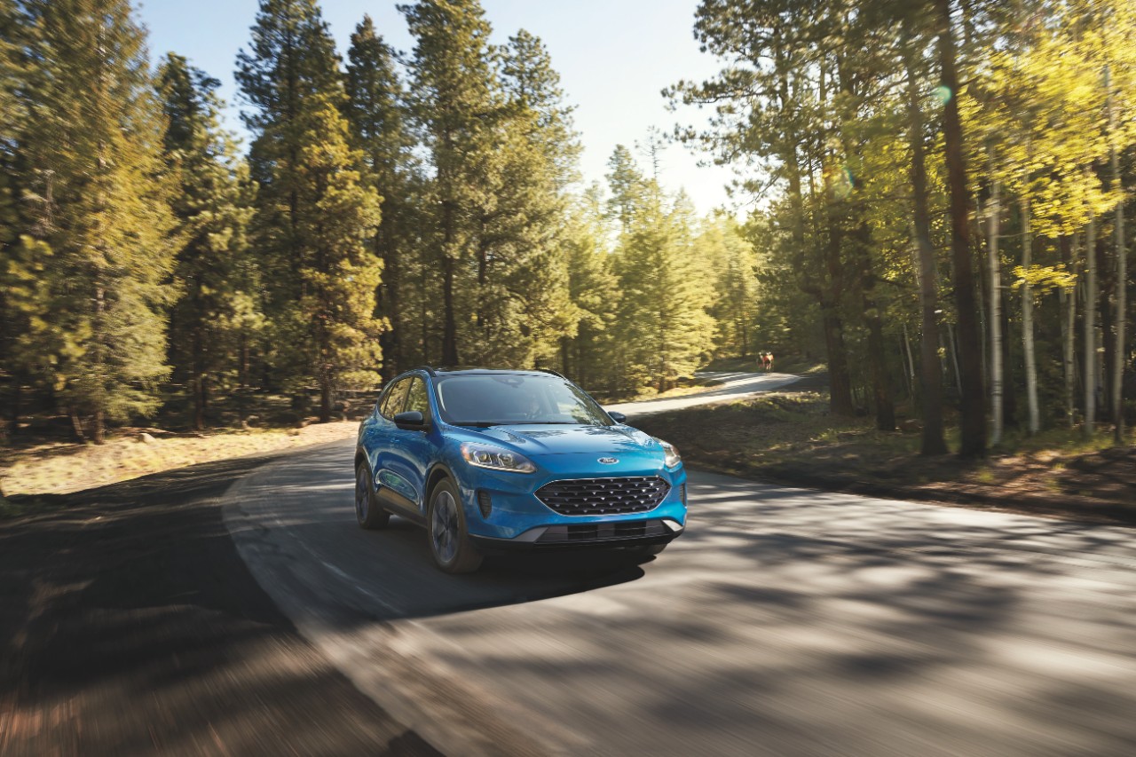 Ford's 2022 Escape driving down a tree-lined road.