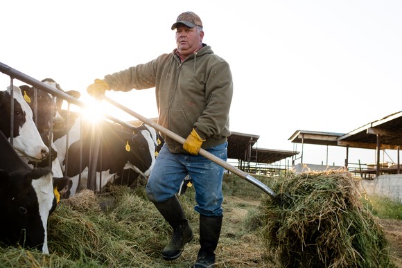A man farming on a ranch.